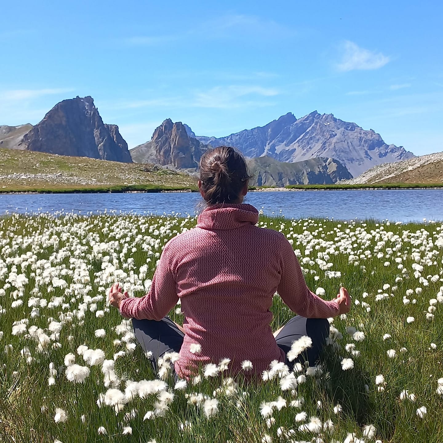 Yoga en pleine nature